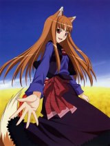 BUY NEW spice and wolf - 156854 Premium Anime Print Poster